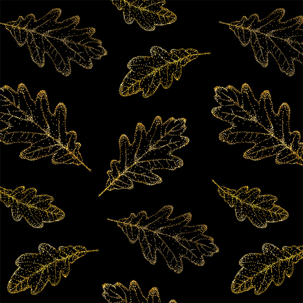 Description of image 17