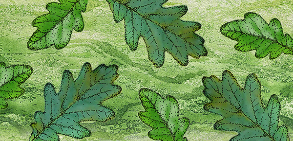 Description of image 3