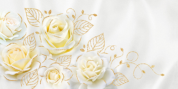 Description of image 5